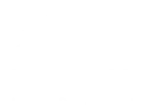 Vertical Chiropractic Logo - white