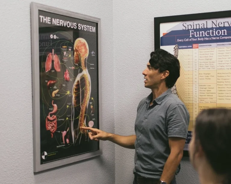 Dr Fano showing nervous system diagram- the nervous system and spine conditions