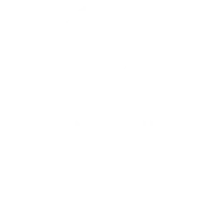 Tanzania Life Project Logo