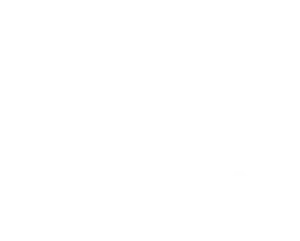 Destination Downtown Sarasota Logo