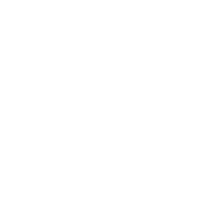 Discover Kids Health with Chiropractic - ICPA logo