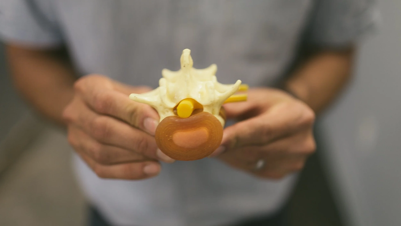 Chiropractic Care for Low Back Pain Relief and Spine Health