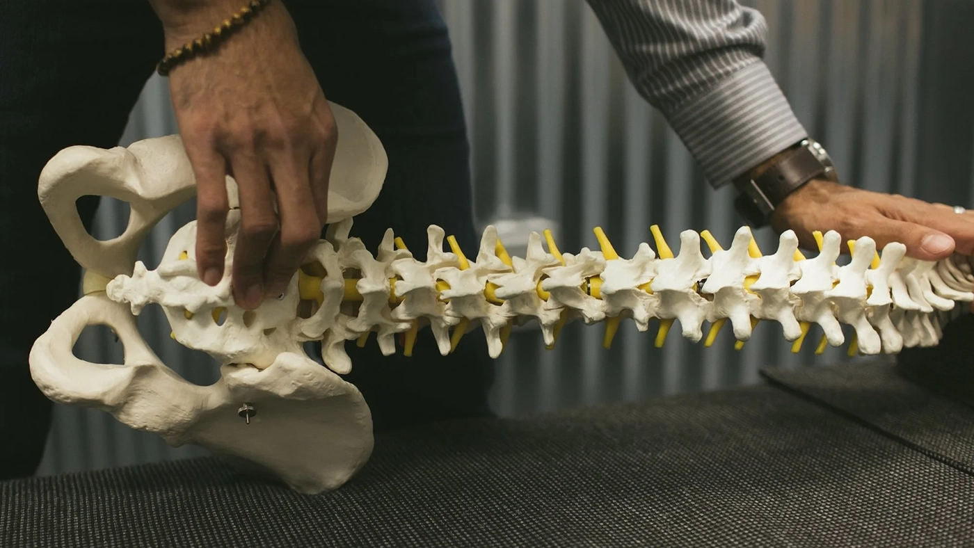 Best Chiropractor Near Me — Why Sarasota Chooses Vertical Chiropractic®
